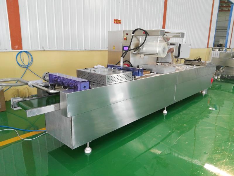 DLZ-420型全自动连续真空包装机